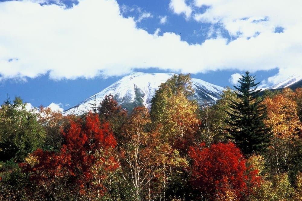 Outdoor view