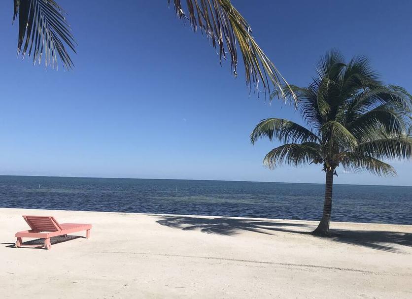 Beach Photo