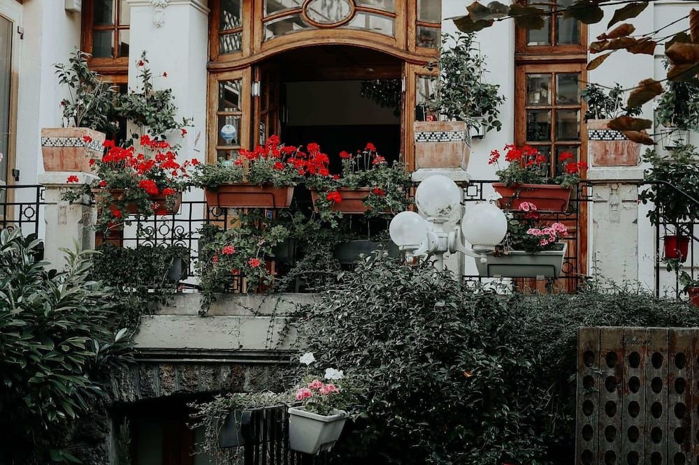 Outdoor view