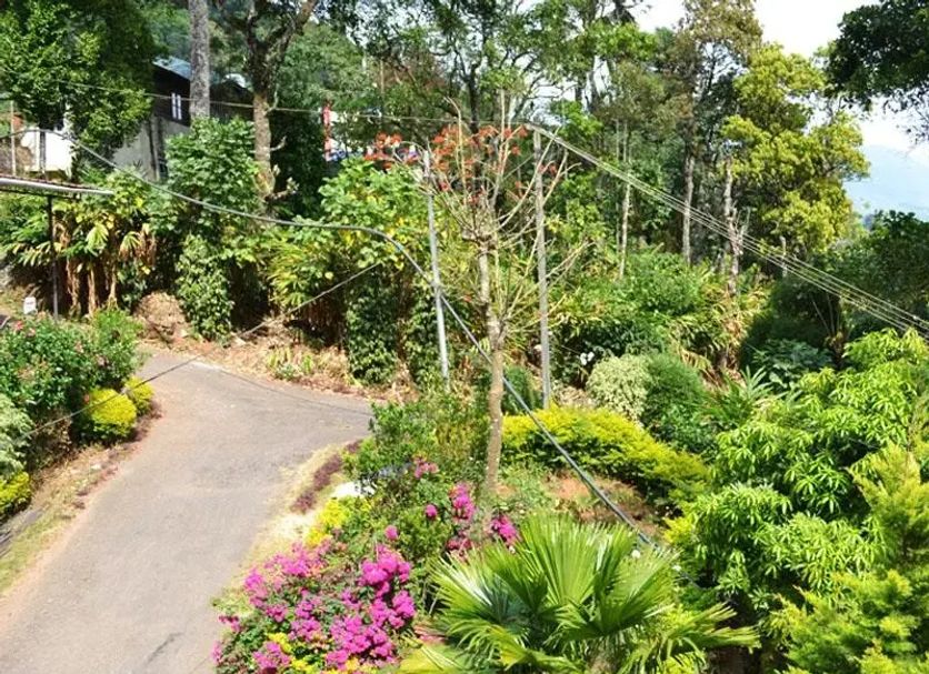 Outdoor view Photo
