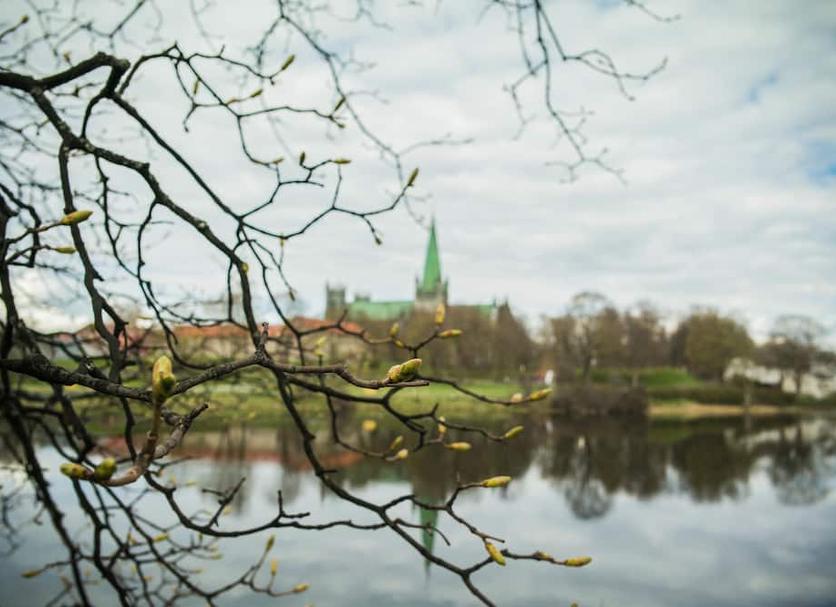 Outdoor view Photo