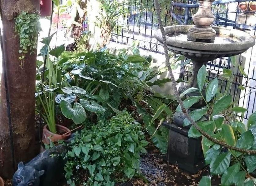 Other Photo