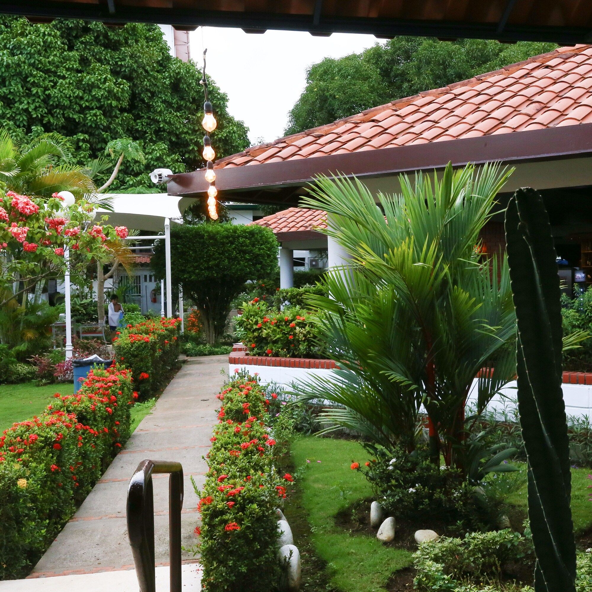 Outdoor view