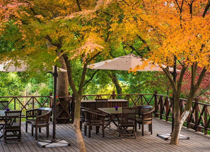 Outdoor view Photo