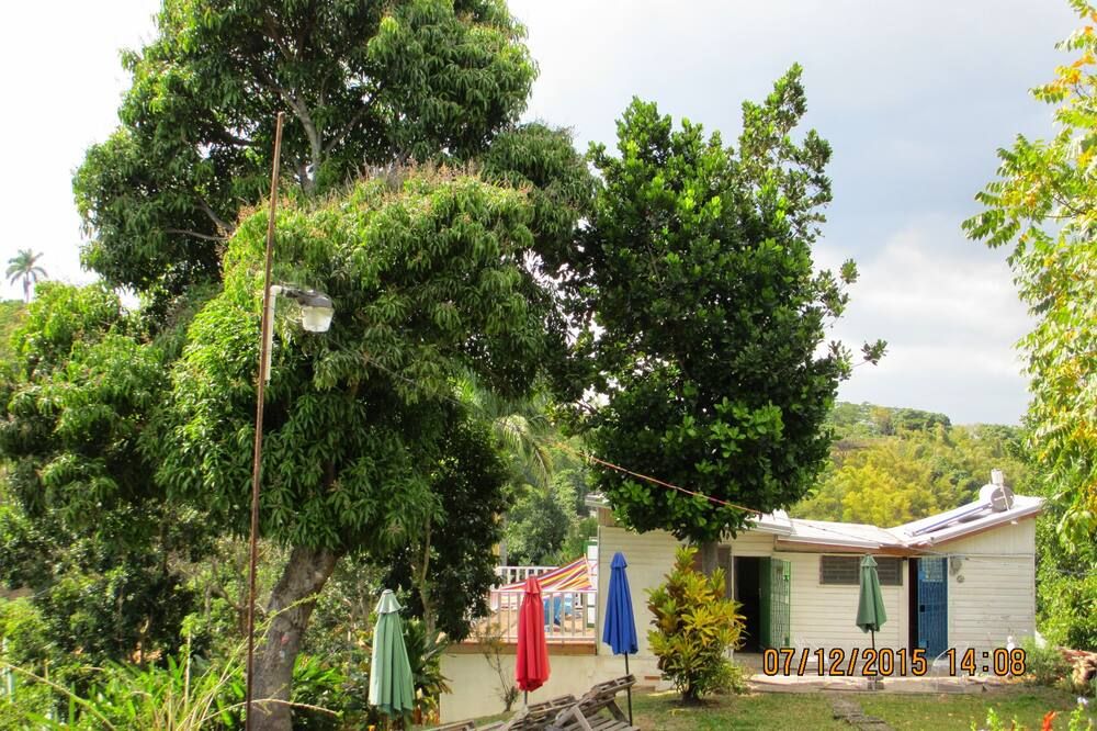 Outdoor view