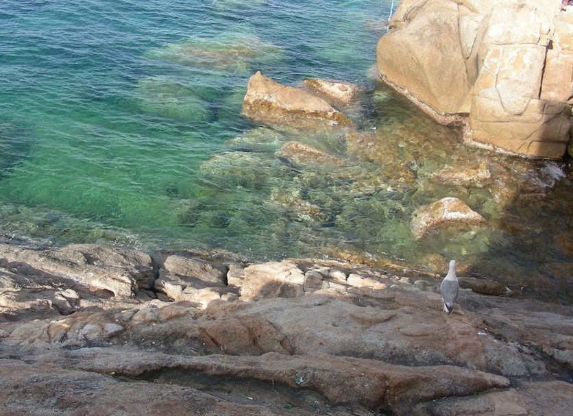 Other Photo