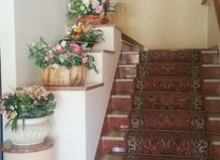 Stairs Photo