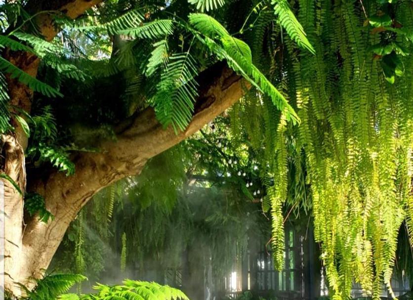 Outdoor view Photo