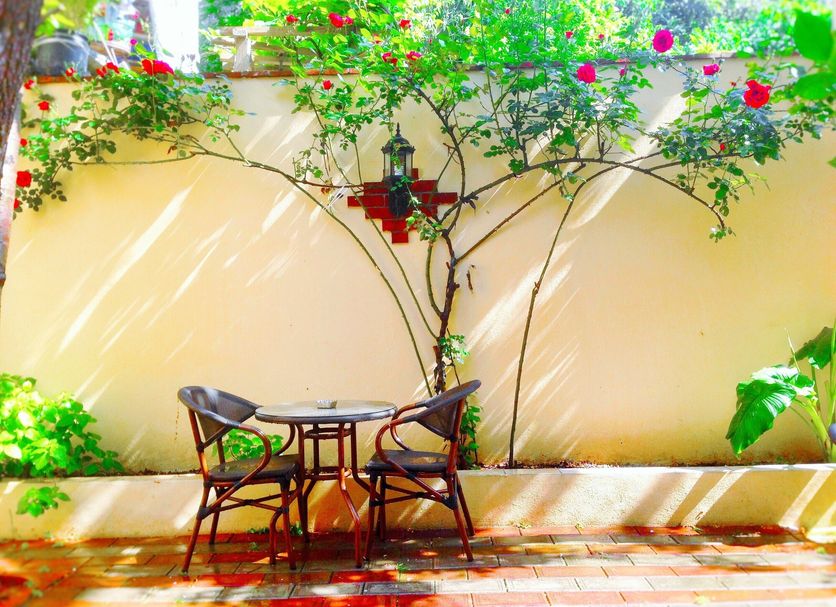 Patio Photo