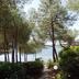 Outdoor view
