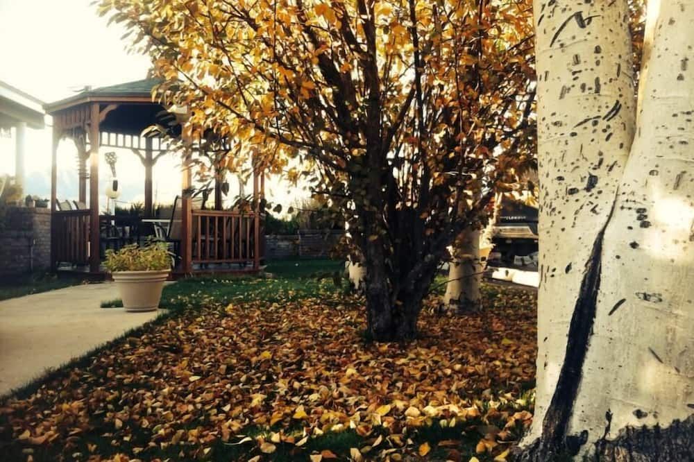 Outdoor view