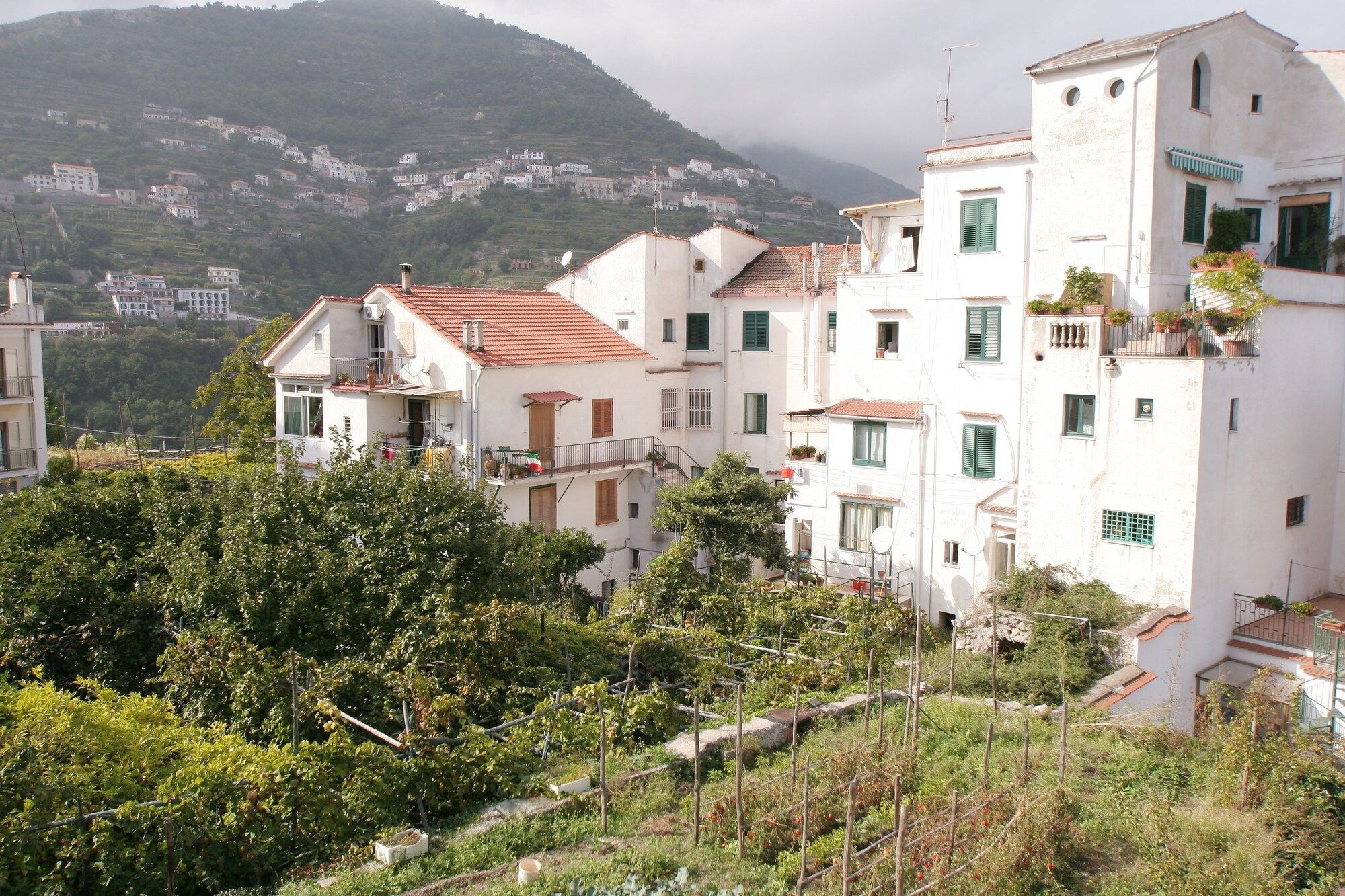 Outdoor view