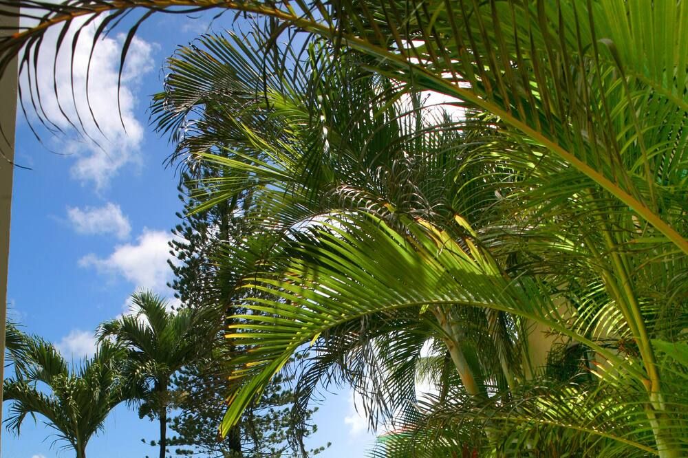 Outdoor view