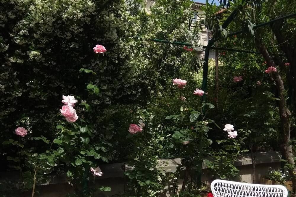 Outdoor view