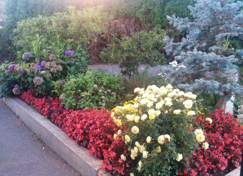 Outdoor view Photo