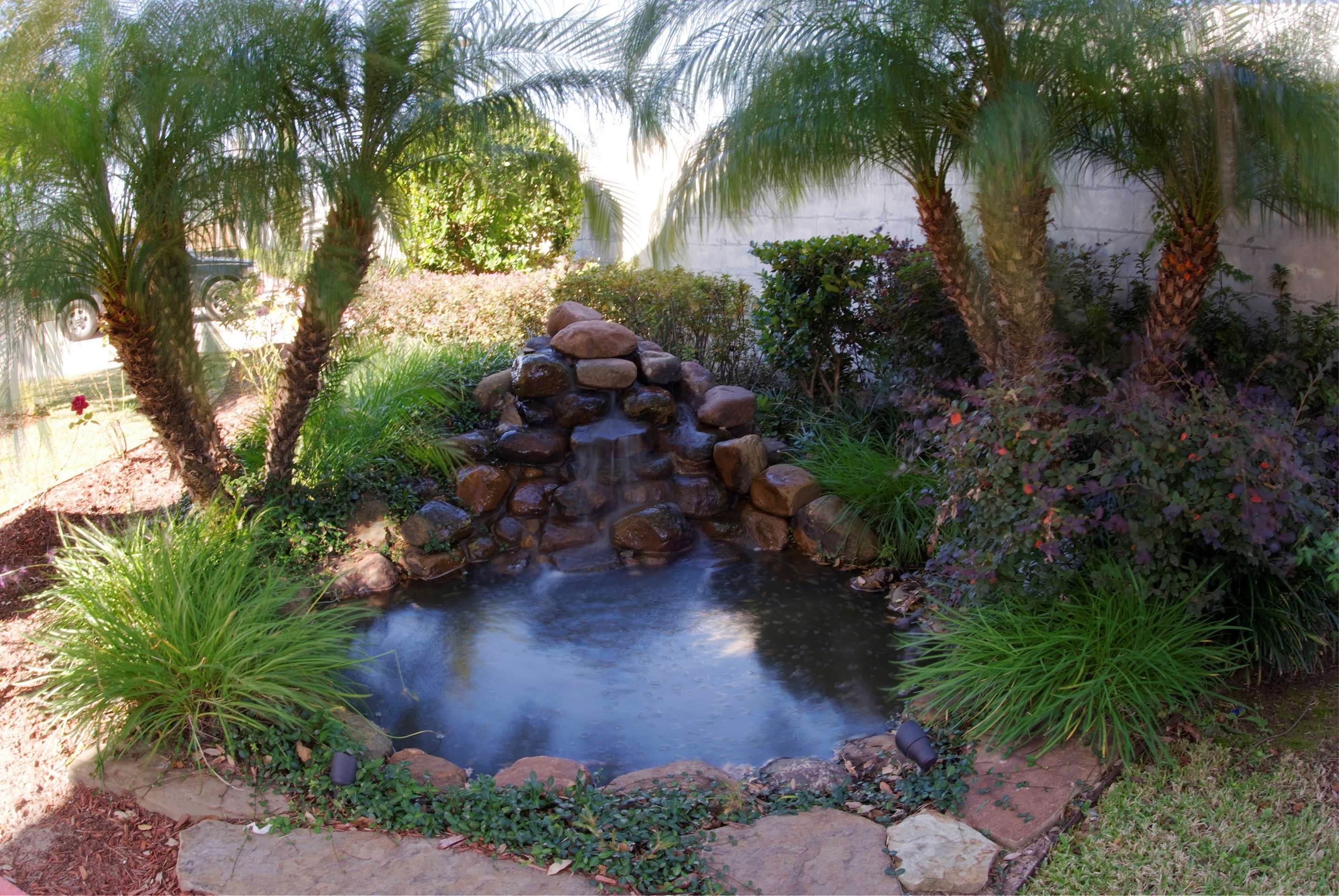 Outdoor view
