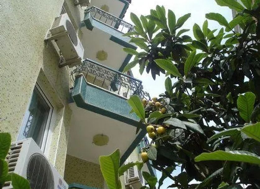 Other Photo