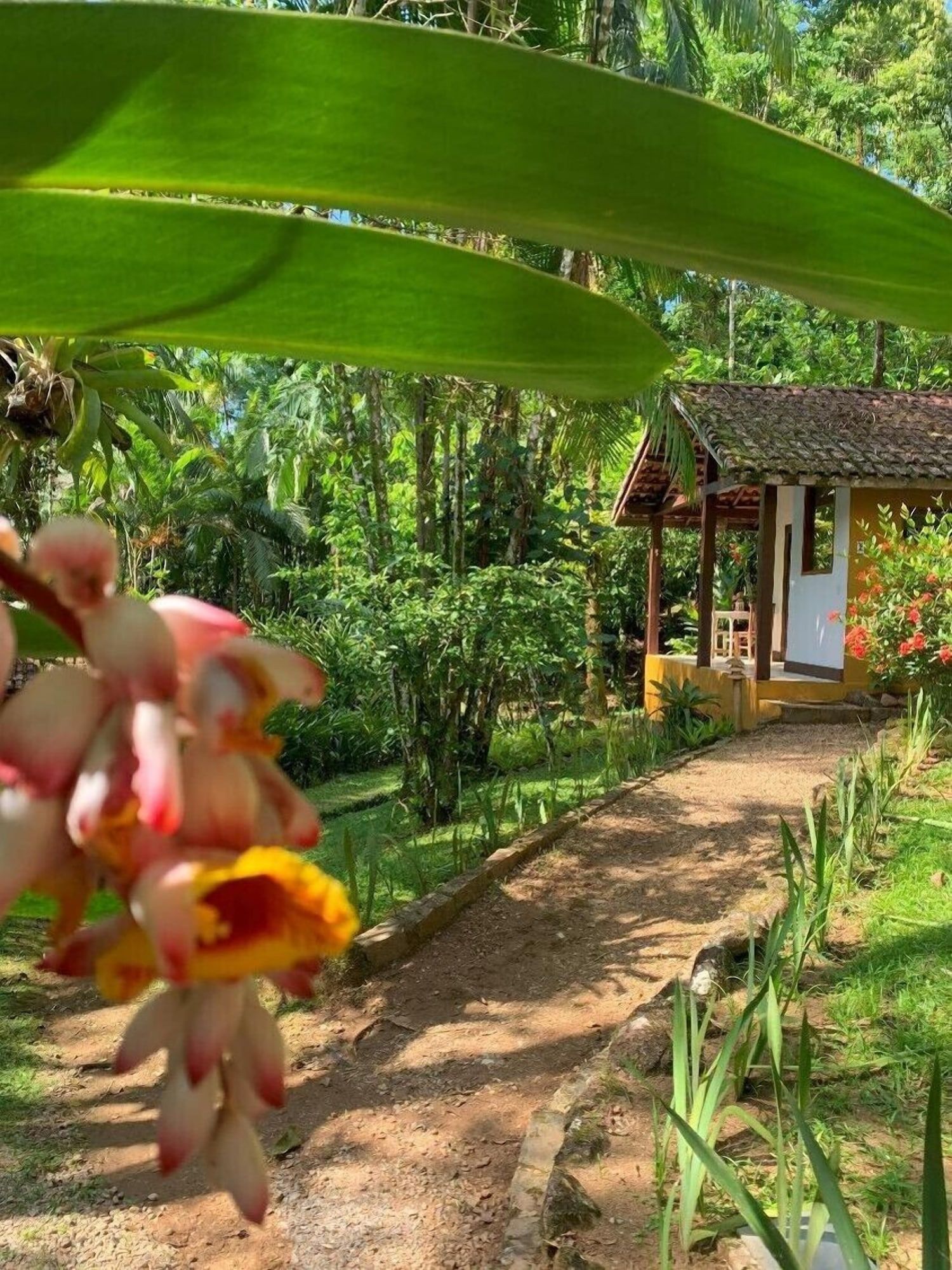 Outdoor view