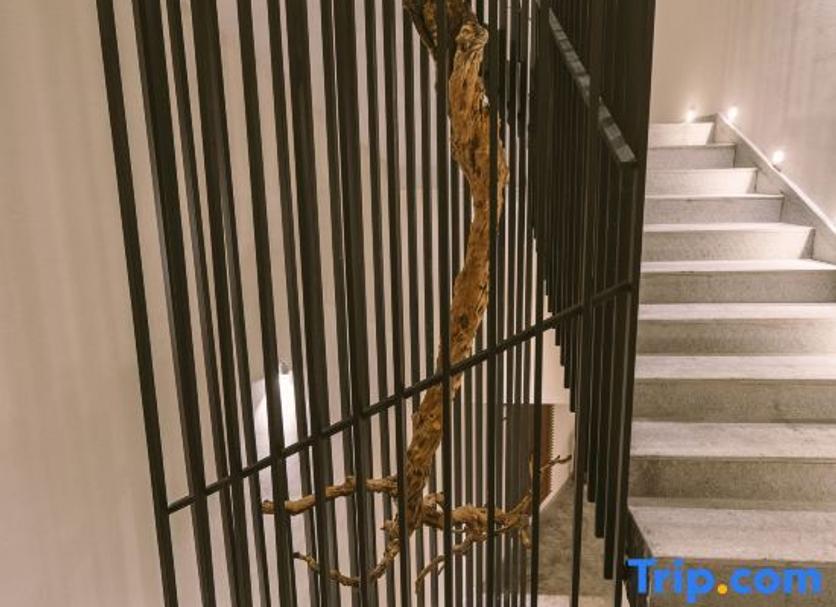 Stairs Photo