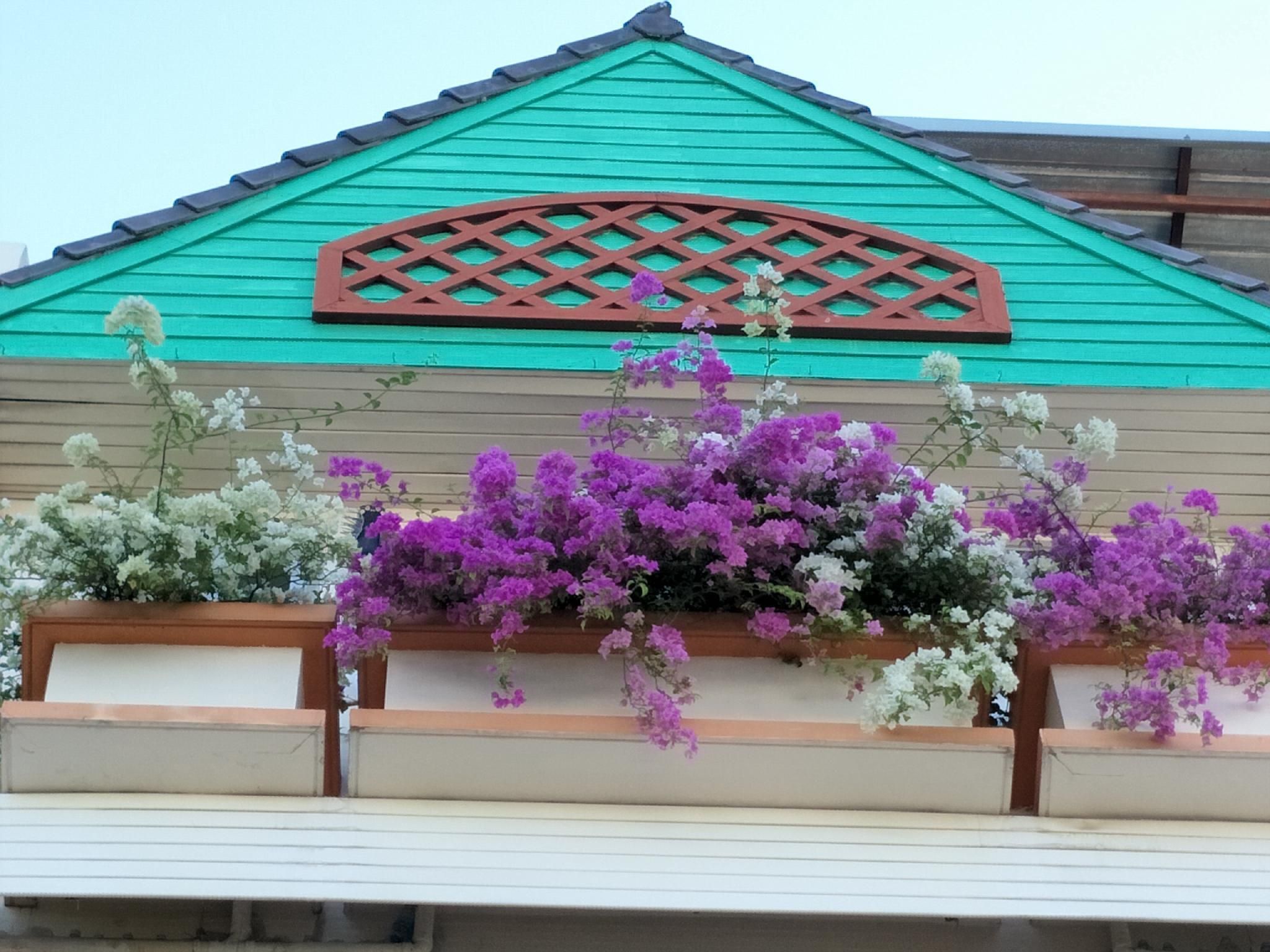 Outdoor view