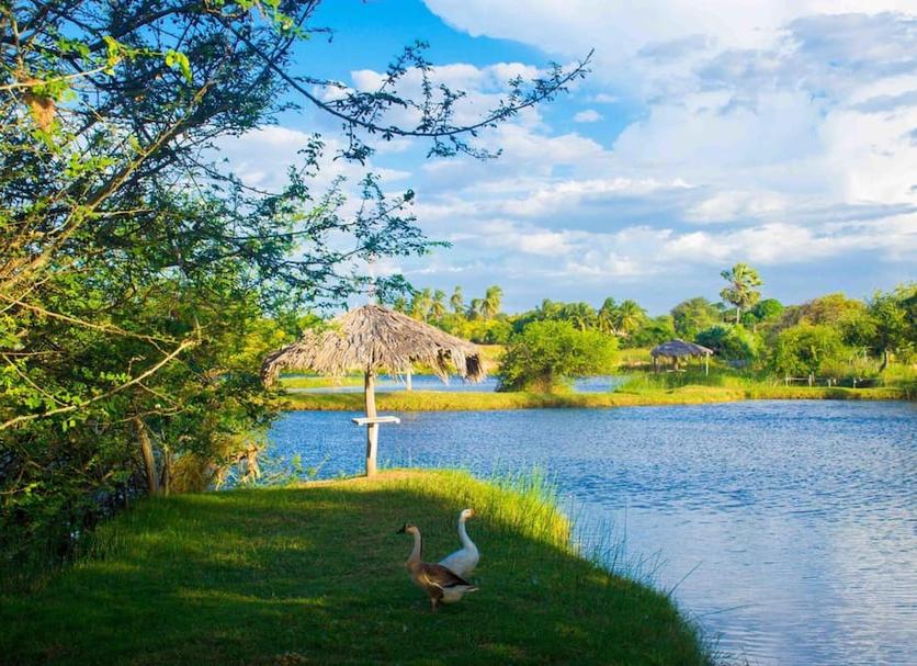 Outdoor view Photo