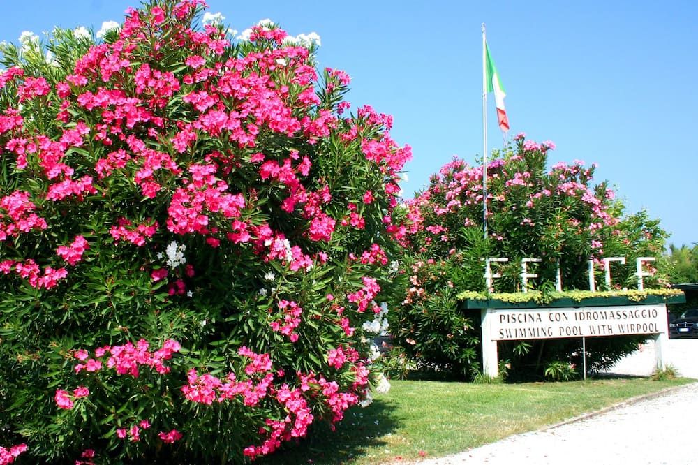 Outdoor view
