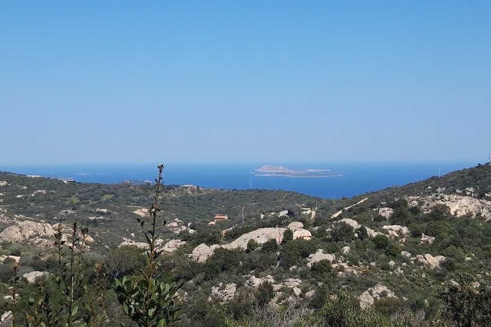 Outdoor view