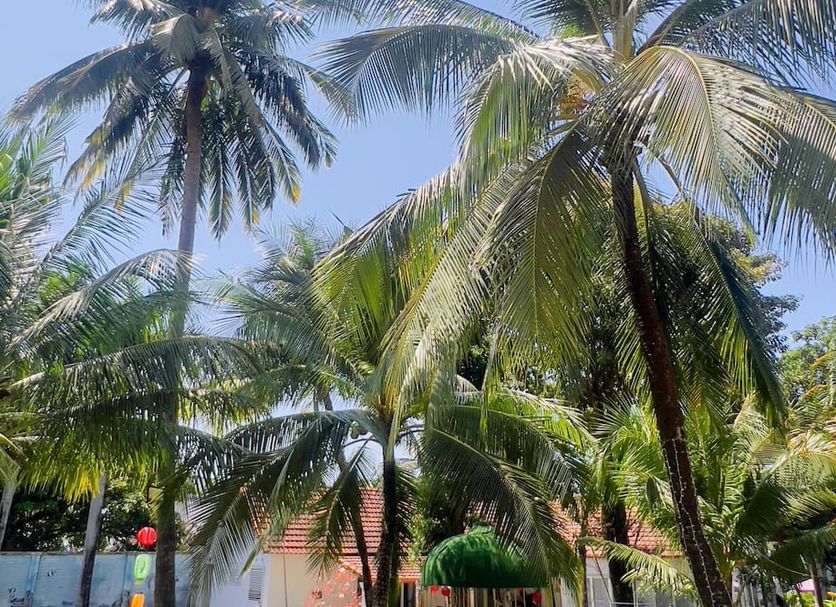 Outdoor view Photo