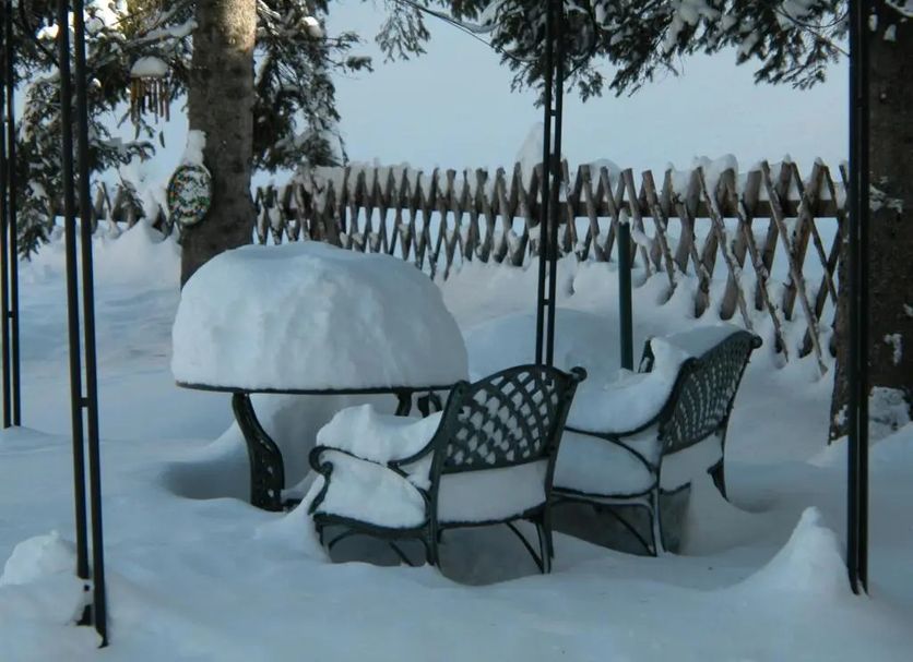 Patio Photo