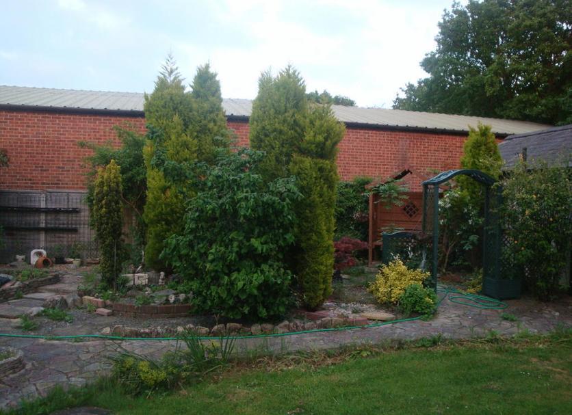 Other Photo