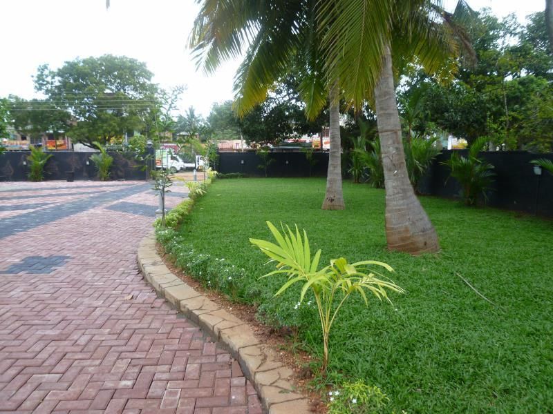 Outdoor view