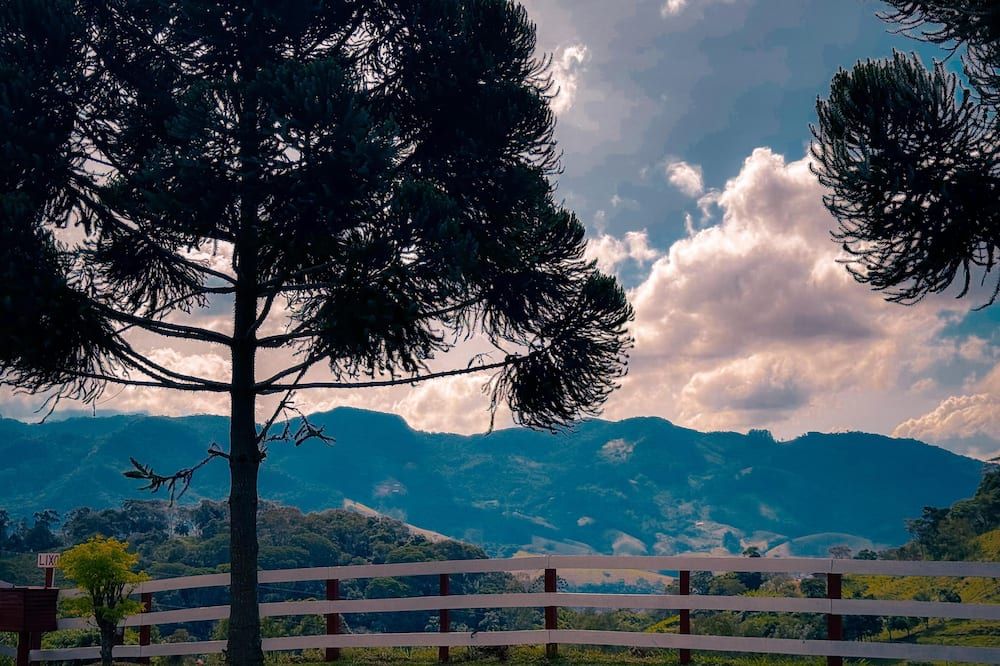 Outdoor view