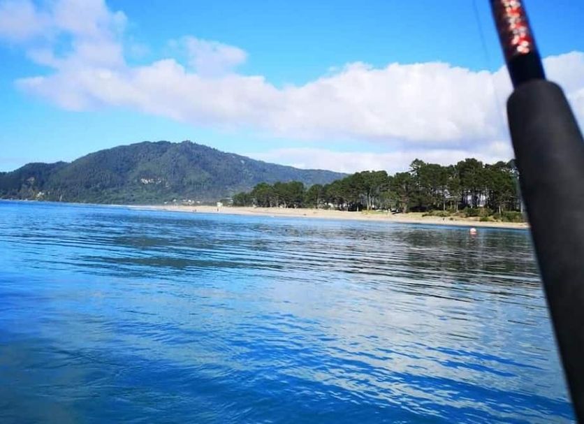 Other Photo