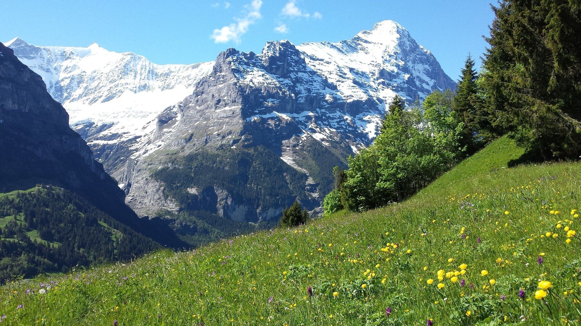Outdoor view Photo