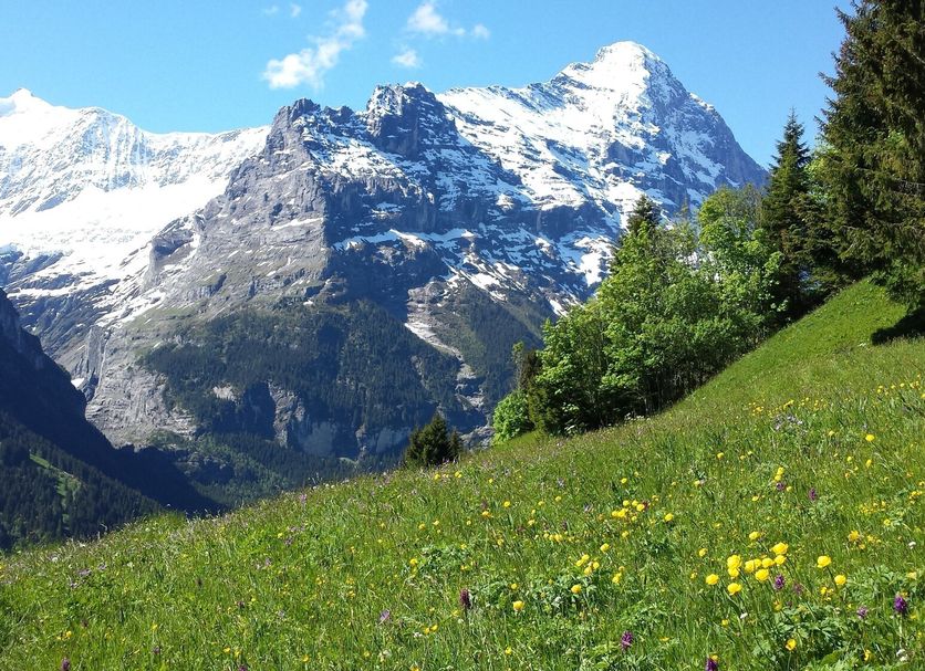 Outdoor view Photo