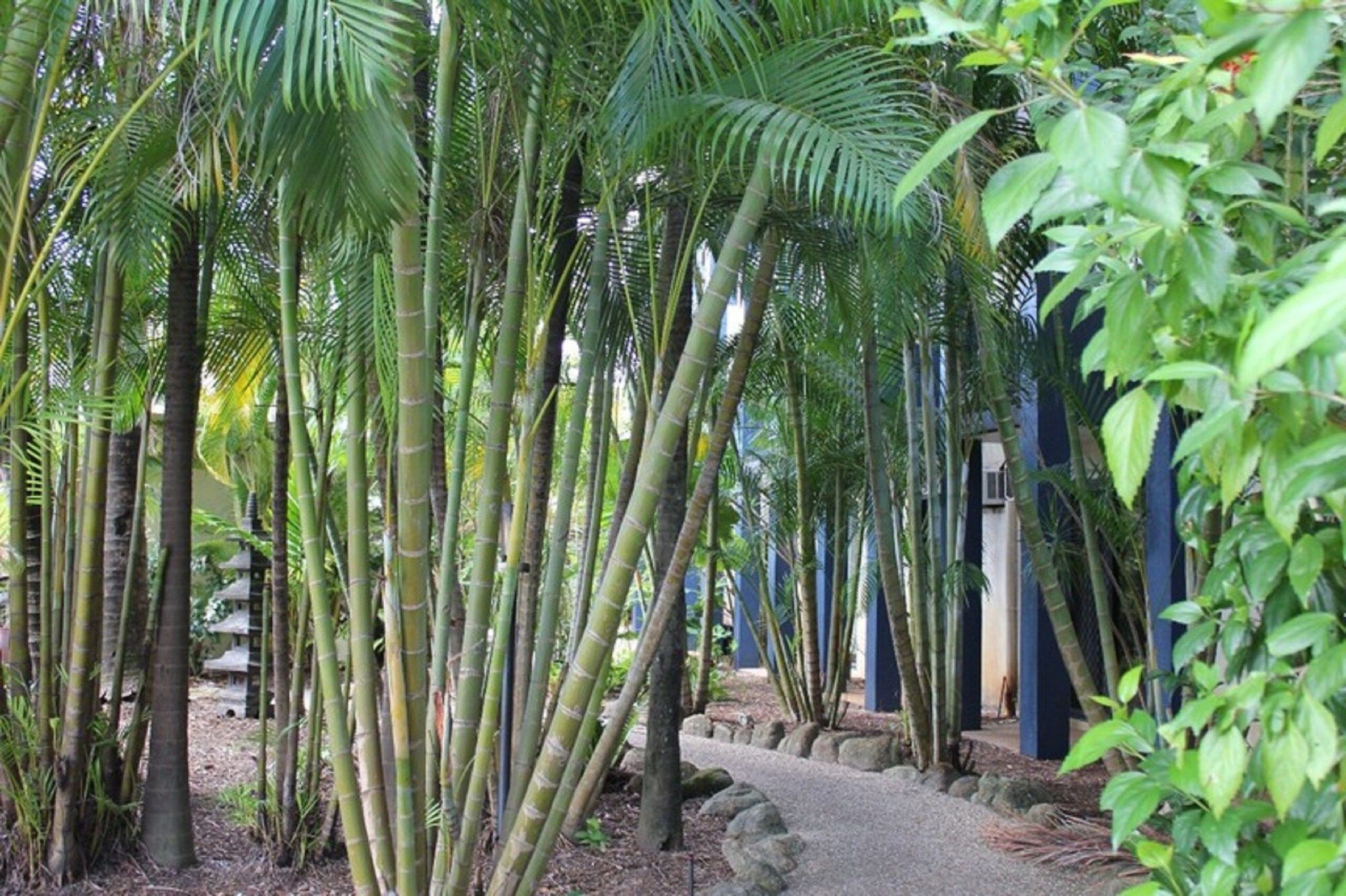 Outdoor view