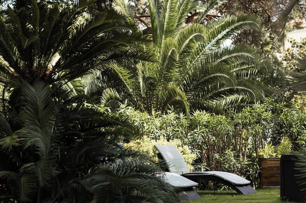 Outdoor view