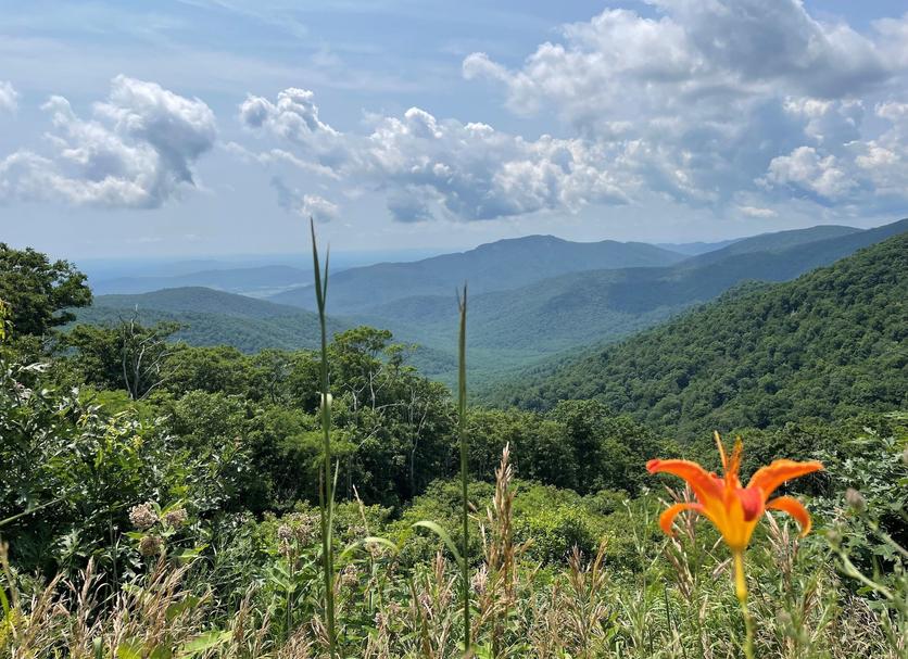 Outdoor view Photo
