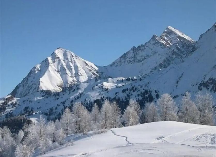 Other Photo