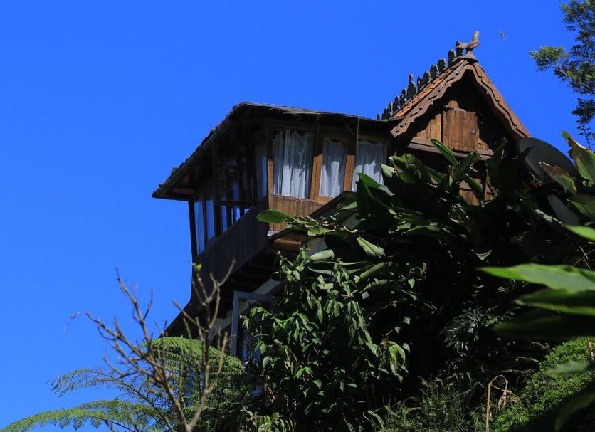 Outdoor view Photo