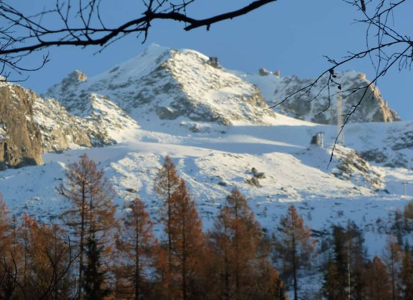 Other Photo
