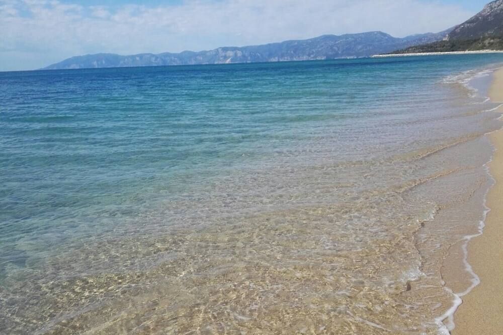 Beach Photo