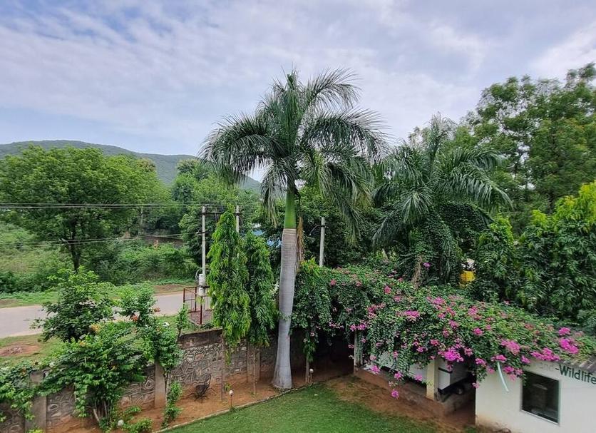 Outdoor view Photo