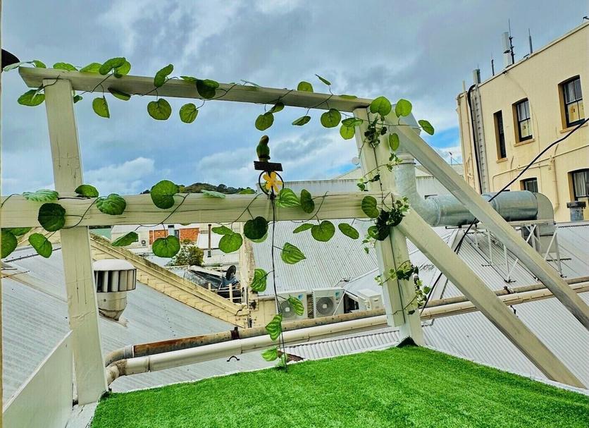 Outdoor view Photo