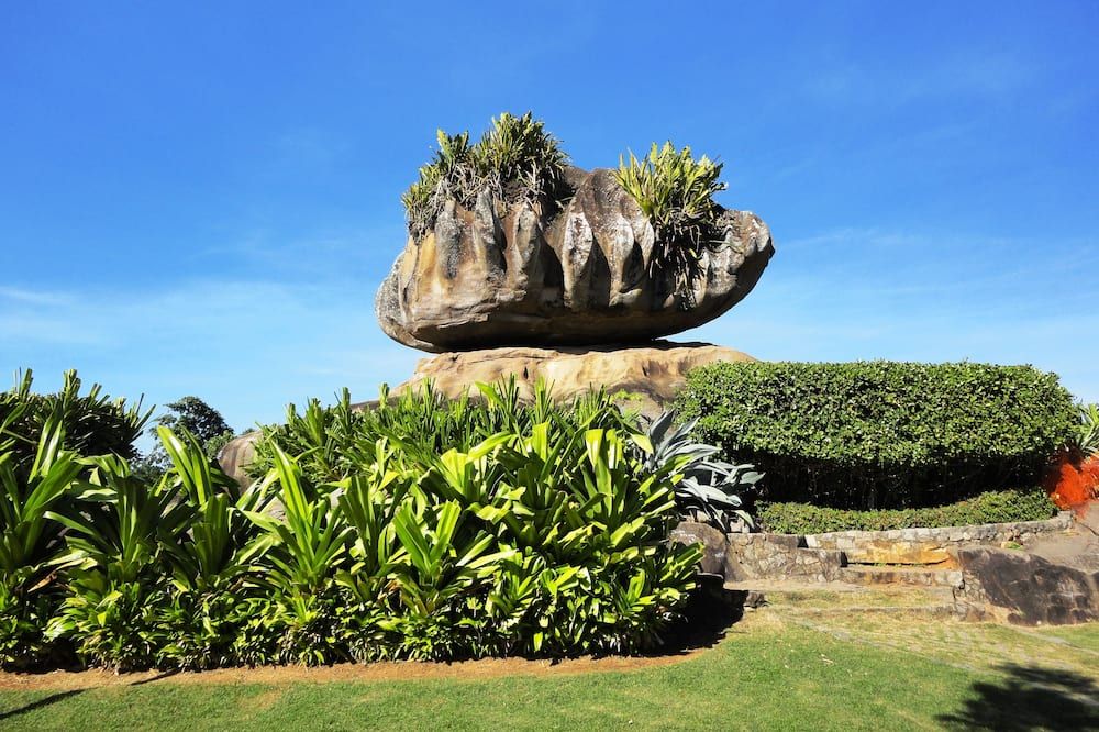 Outdoor view