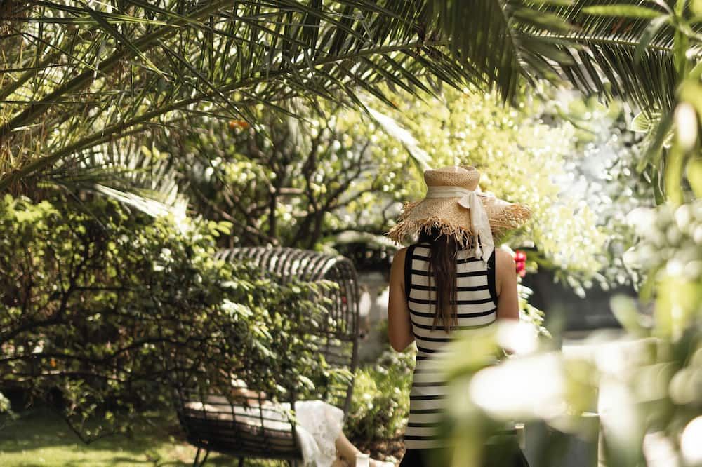 Outdoor view