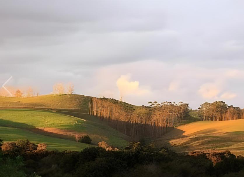 Outdoor view Photo