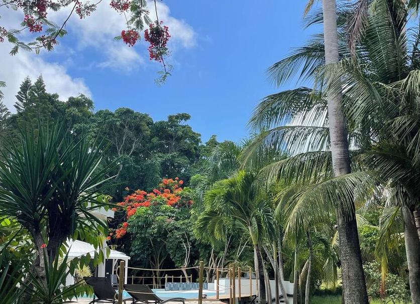 Outdoor view Photo