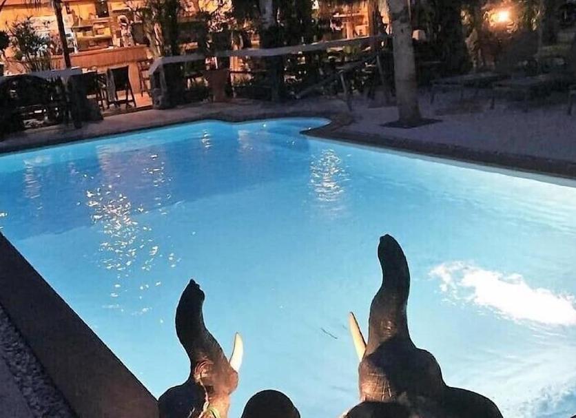 Pool Photo