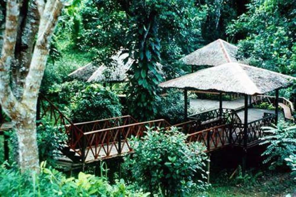 Outdoor view
